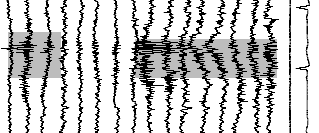 The primary signals
