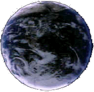 World wide electronic support
